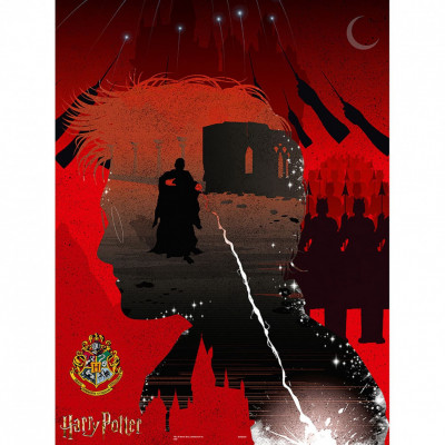 Пазл для детей Harry Potter Гарри Поттер Секретный крестраж, 1000 деталей