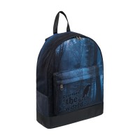 Рюкзак ErichKrause® StreetLine с отделением для ноутбука 17L Dark Forest