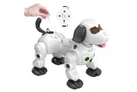 Интерактивная радиоуправляемая собака робот 2.4GHz (управление часами)