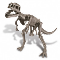 Набор 4M Раскопай скелет. Тираннозавр 00-03221