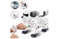 Интерактивная робот-собака 2.4GHz (управление часами) Happy Cow 777-602