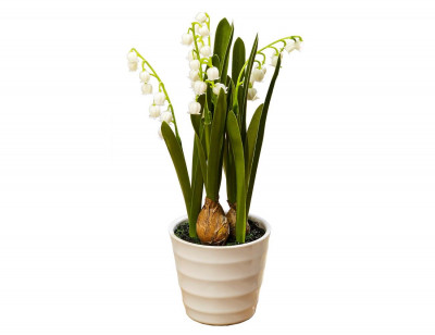 Искусственные весенние цветы Ландыши в горшке