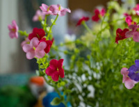 Искусственные полевые цветы "Летнее очарование" в розовом горшке