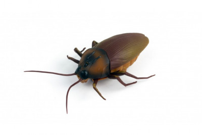 Интерактивная таракан с датчиком препятствий