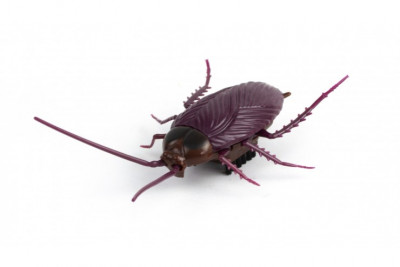 Интерактивный робот таракан