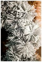 Венок хвойный Орегон заснеженный,45 см A Perfect Christmas