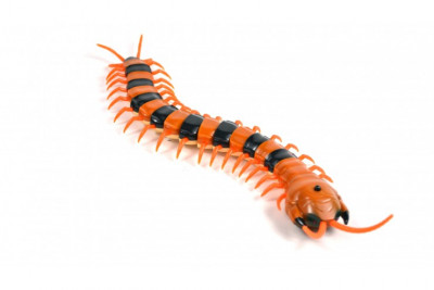 Радиоуправляемая игрушка Гигантская сколопендра LS9901A