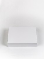 Коробка магнитная NÖLEBIRD с бумагой тишью