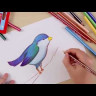 Набор цветных карандашей Stabilo Trio Thick утолщенных 18 цветов + точилка, в картонном футляре
