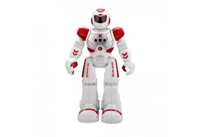 Радиоуправляемый робот Smartbot (управление пультом и жестами) Create Toys SR...