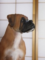 Статуэтка собаки породы Боксер