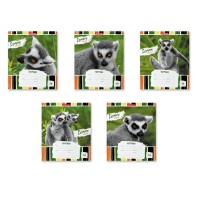 Тетрадь школьная ученическая ErichKrause® Lemur Style, 18 листов, клетка (в плёнке по 10 шт.)